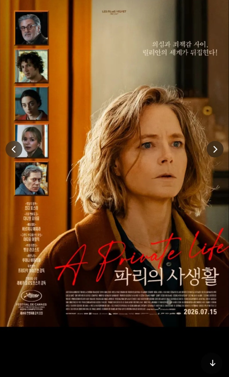[영화리뷰] "파리의 사생활" 스토리, 영화평/ 조디 포스터의 미스터리 추적 소동극