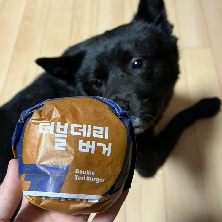 롯데리아 학동역점 사진 4