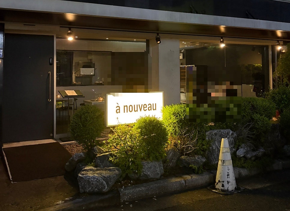 아누보 사진 1