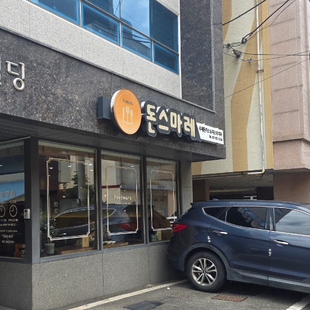 돈스마레 사진 2