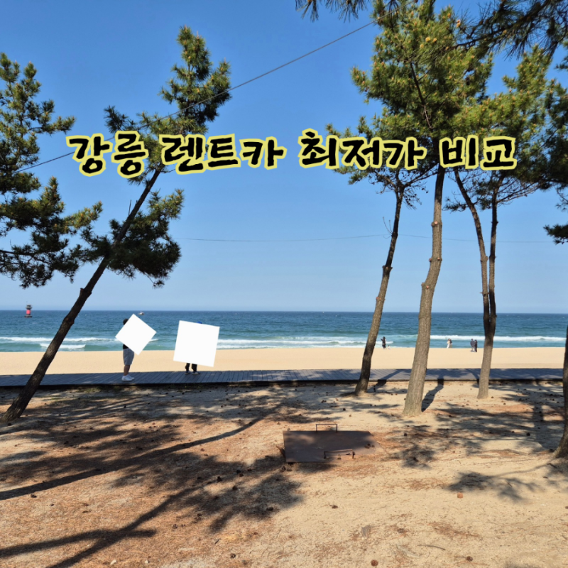 강릉 렌트카 가격 비교 여름 국내여행 렌터카추천