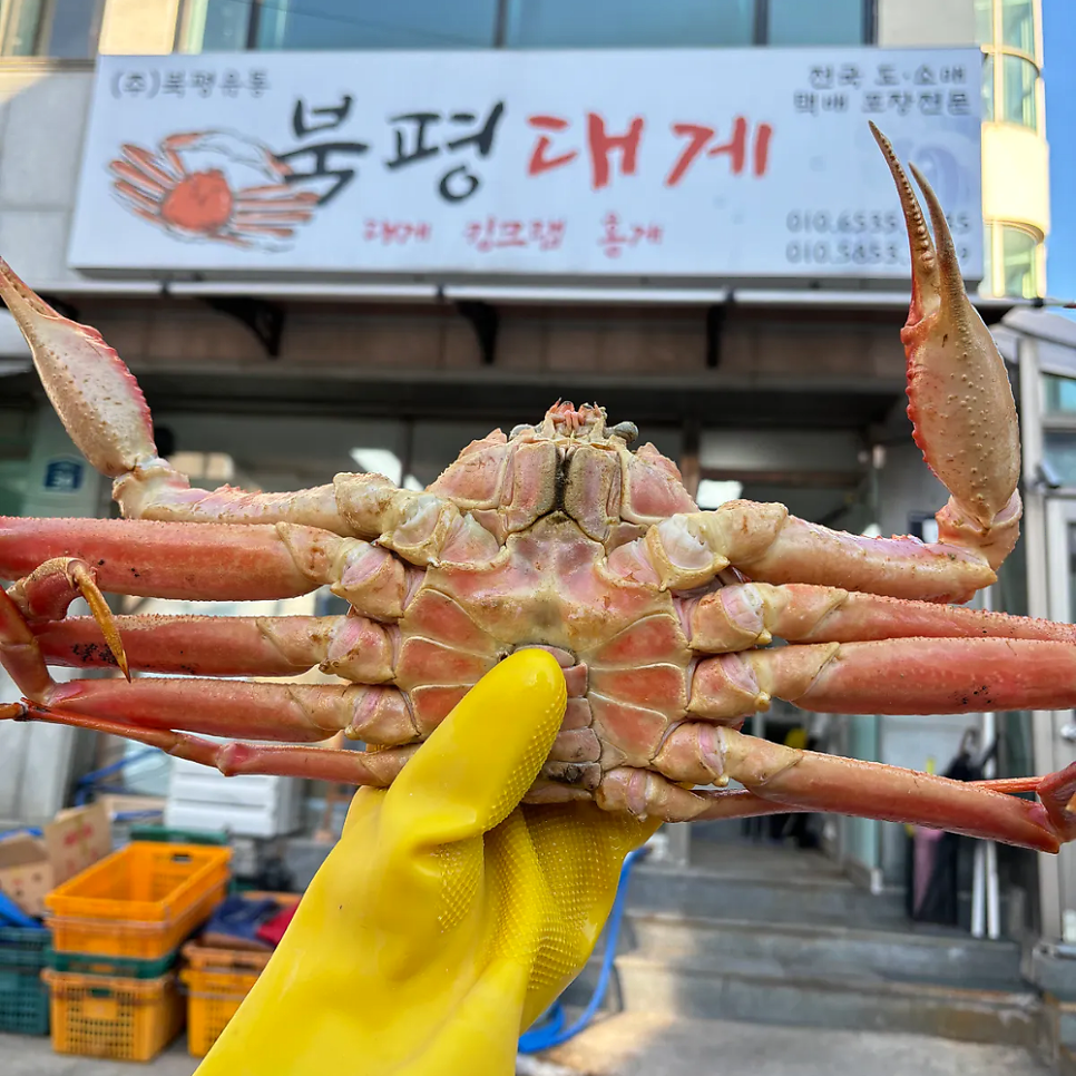 북평대게 사진 2