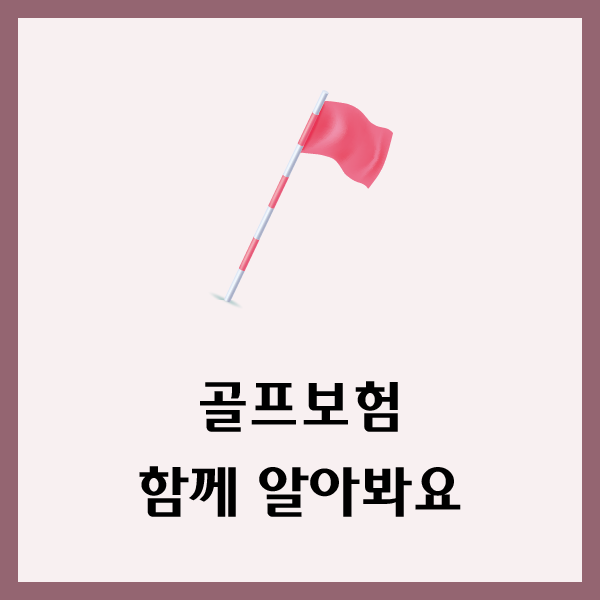 삼성화재골프보험 가격 비교 팁까지 파악하기