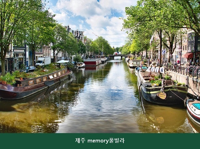 제주memory풀빌라 사진 4