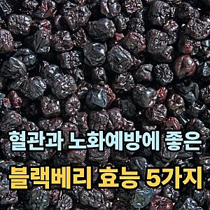 블랙베리 효능 5가지, 혈관 건강과 노화에방에 관심 있으면 주목할 만 합니다.