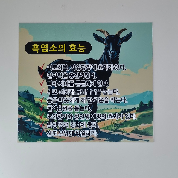 신토불이 사진 5