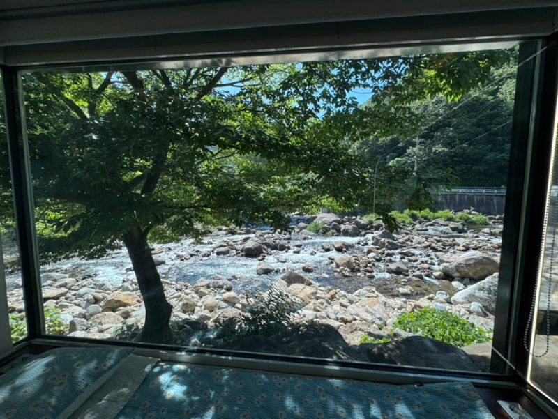 광주근교 애견동반숙소 하동여행 지리산벚꽃카라반 통창계곡뷰