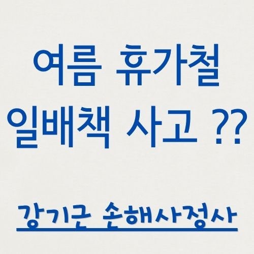 휴가철 일상생활배상책임보험(일배책), 여행 가서 남의 물건 깨뜨렸을 때 보상될까요?