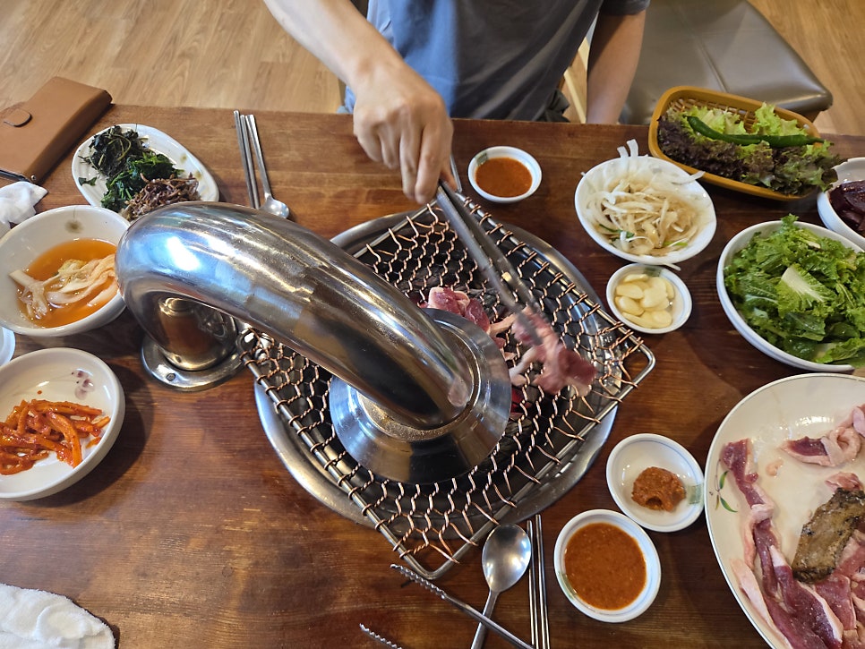 불미골오리 사진 3
