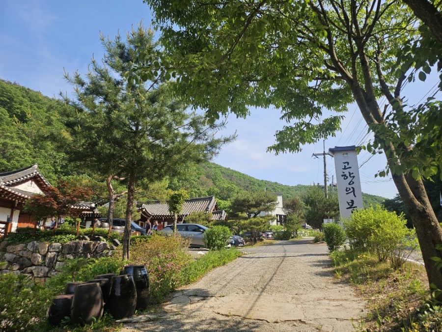 고향의봄펜션 사진 3