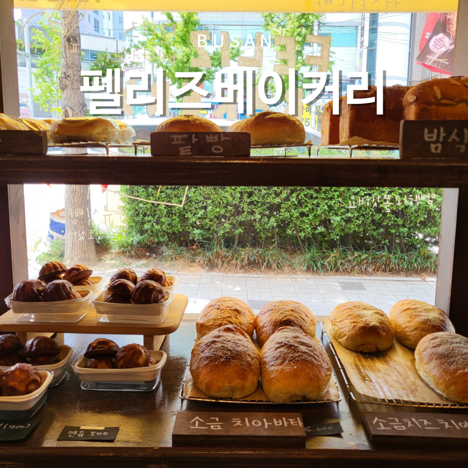펠리즈베이커리 사진 1