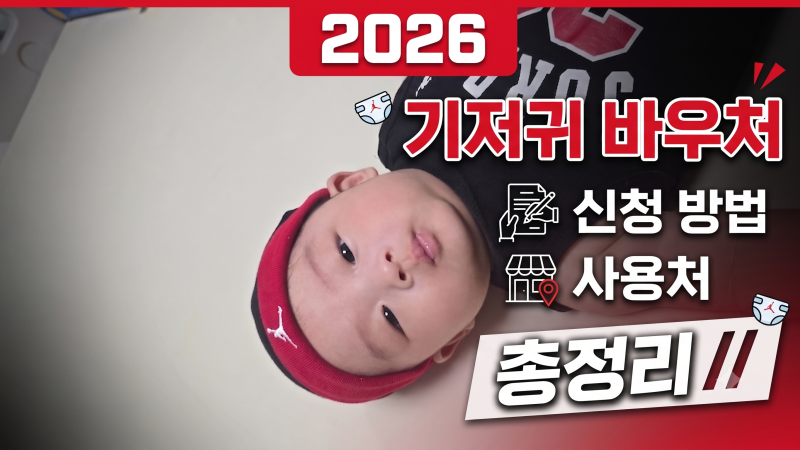 2026 기저귀 바우처 신청 방법 및 사용처 총정리