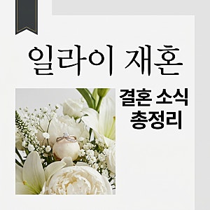 일라이 재혼녀 누구? 결혼식 일정과 지연수 양육비 근황 정리