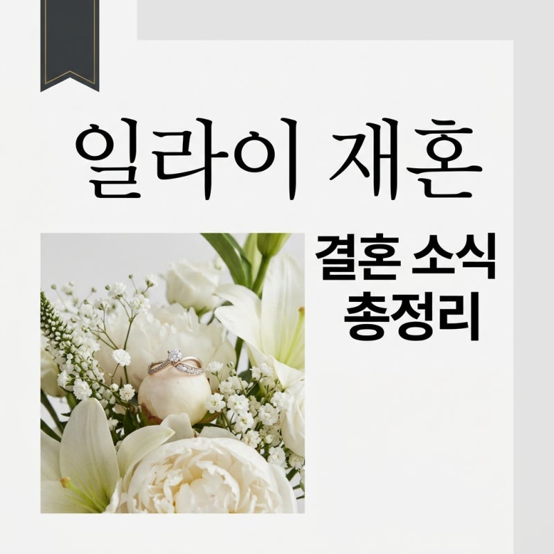 일라이 재혼녀 누구? 결혼식 일정과 지연수 양육비 근황 정리
