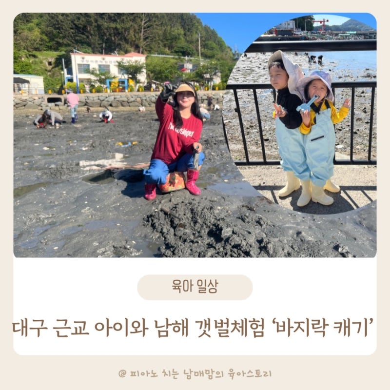대구 근교 경남 통영 아이와 남해 갯벌체험 준비물 바지락 결과물 공유