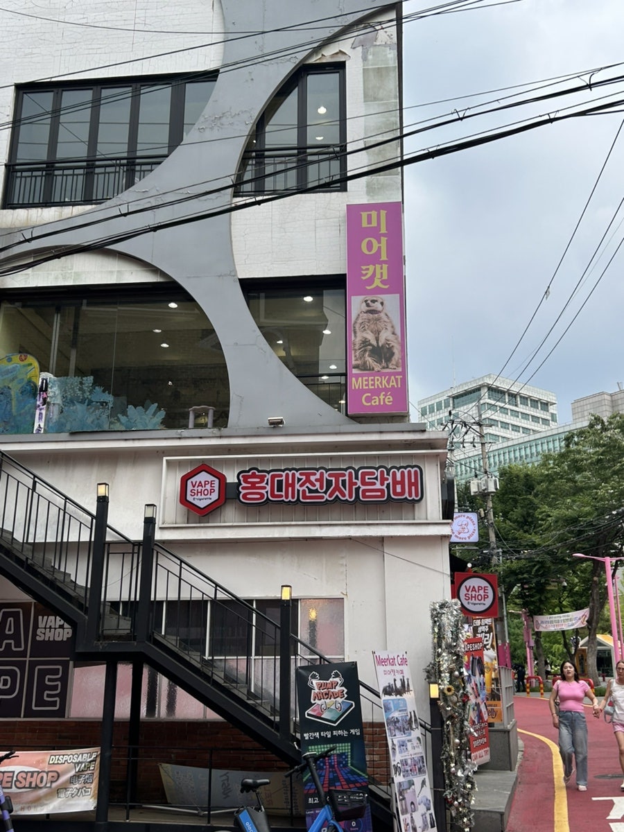 미어캣프랜즈 사진 1