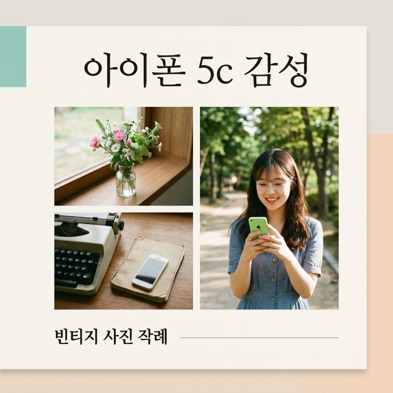 아이폰 5c 작례 감성 사진 매력과 중고 구매 전 필수 체크리스트