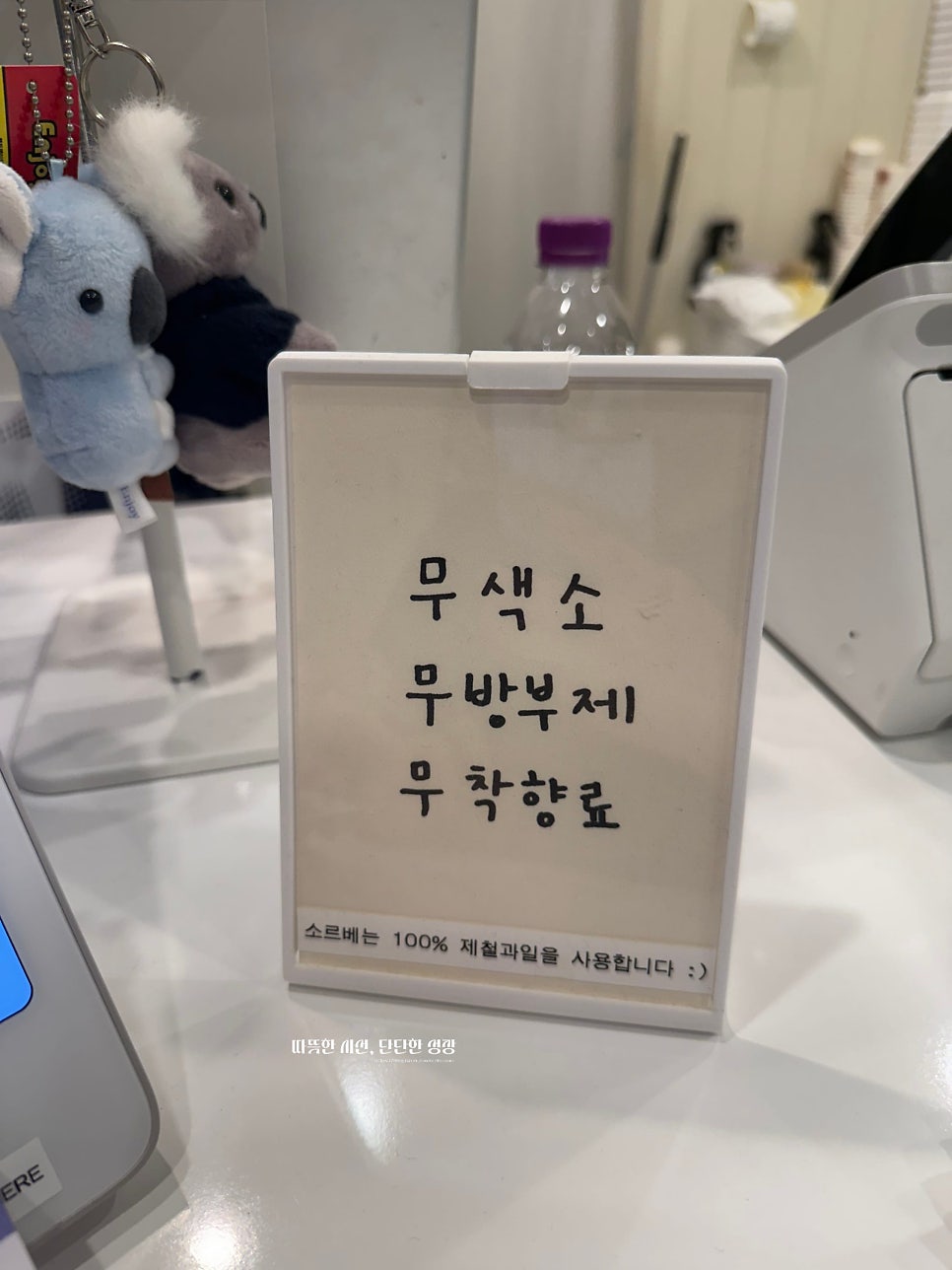 스위티 사진 8