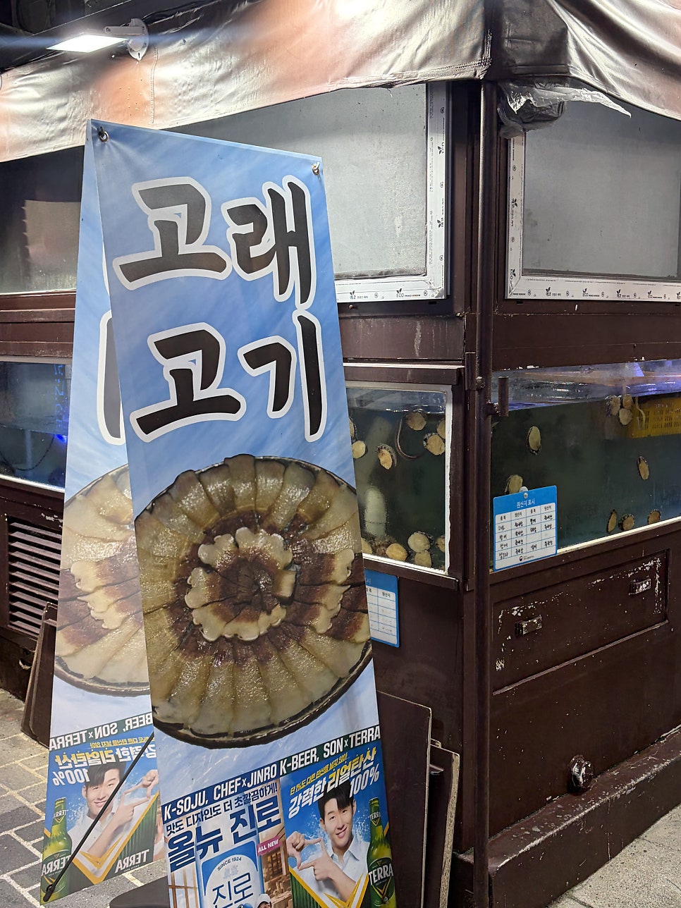 바다향기 사진 5