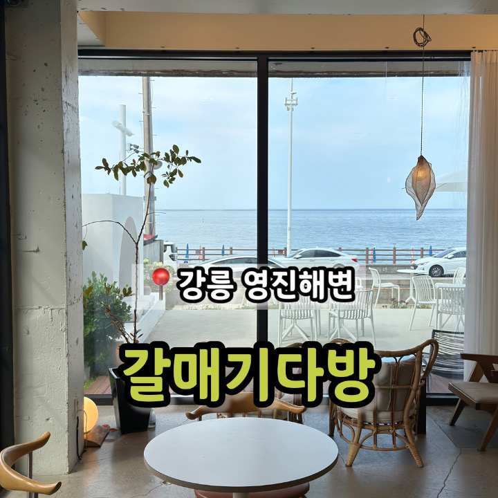 갈매기다방 사진 1