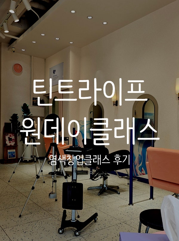 틴트라이프 광교점 염색 원데이클래스 다녀온 후기 예약