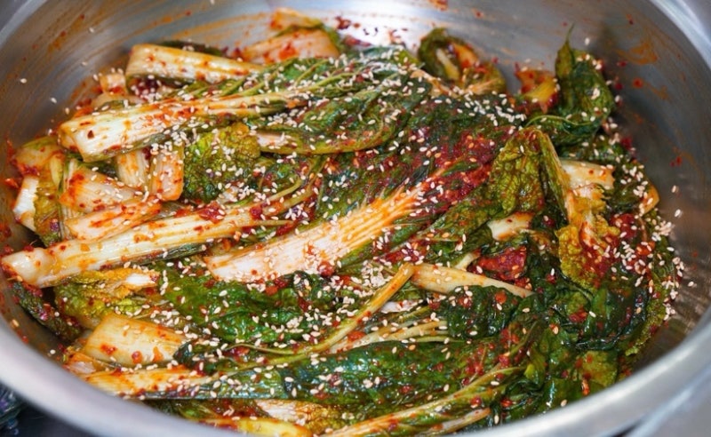 얼갈이배추김치 얼갈이김치담그는법 얼갈이배추겉절이 레시피 20분 완성 김치