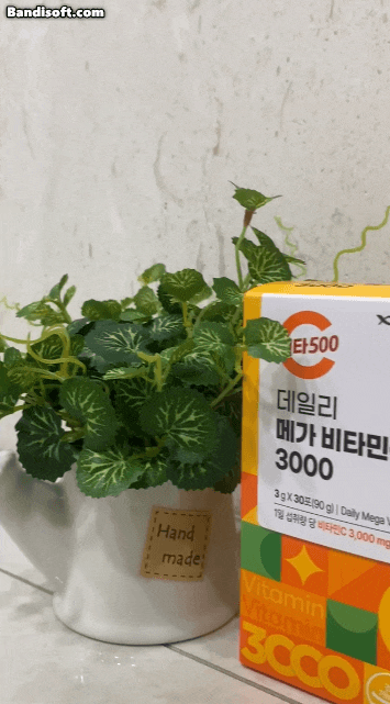 비타500메가비타민으로 매일 챙기는 항산화 루틴! 비타민C 간편하게 섭취한 후기