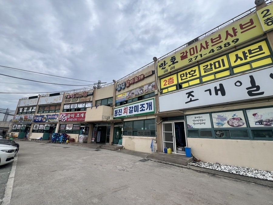 삼성갈미조개 사진 3