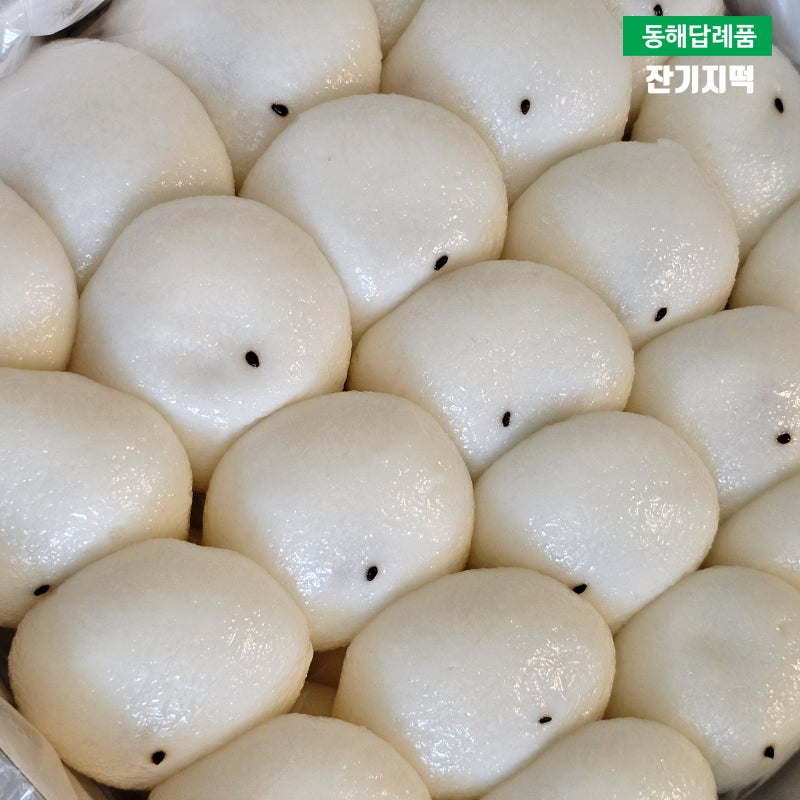 동해시 답례품으로 좋은 기정떡 궁잔기지떡 솔직후기 보관방법