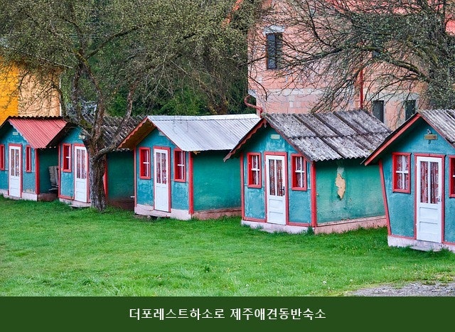 더포레스트 사진 2