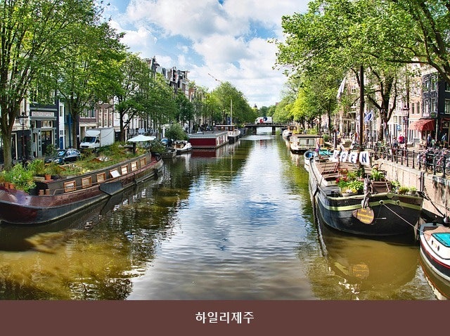 하일리제주 사진 4
