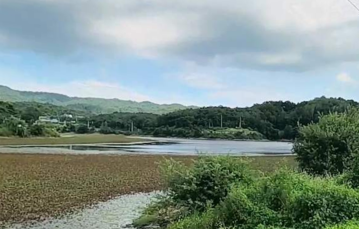 도유지 사진 4