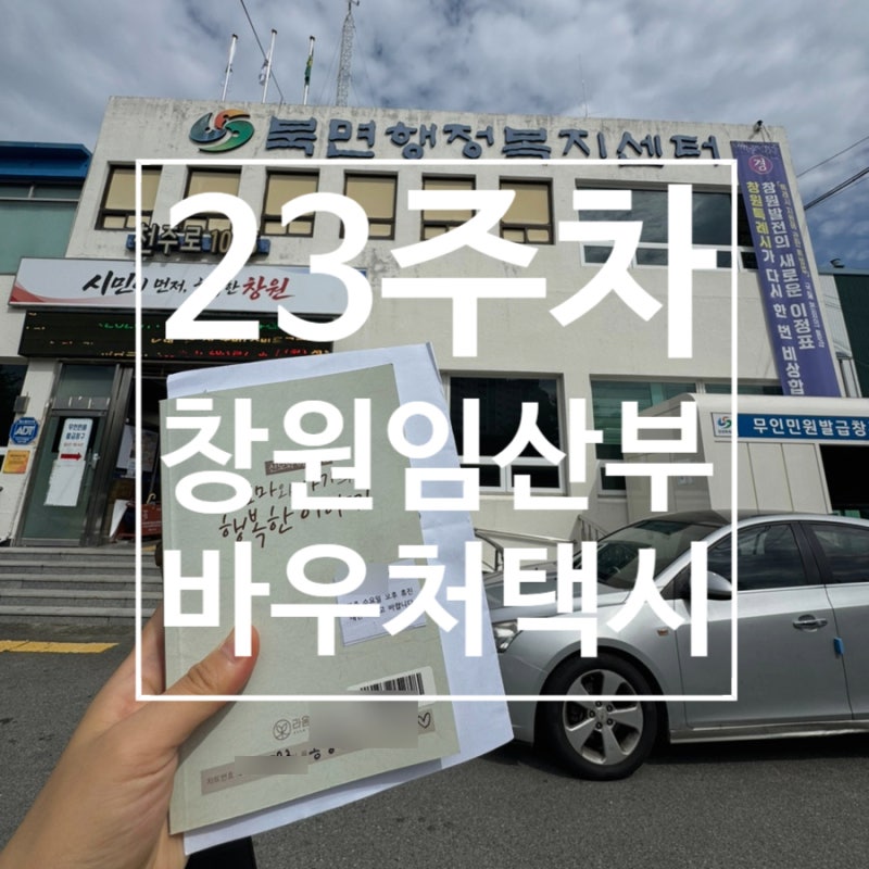 창원 임산부 바우처 택시 등록 방법, 준비물부터 후기까지 - 북면행정복지센터 방문기 (23주....