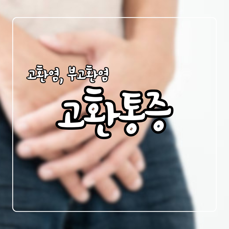 고환통증 고환염 부고환염 증상 원인 치료