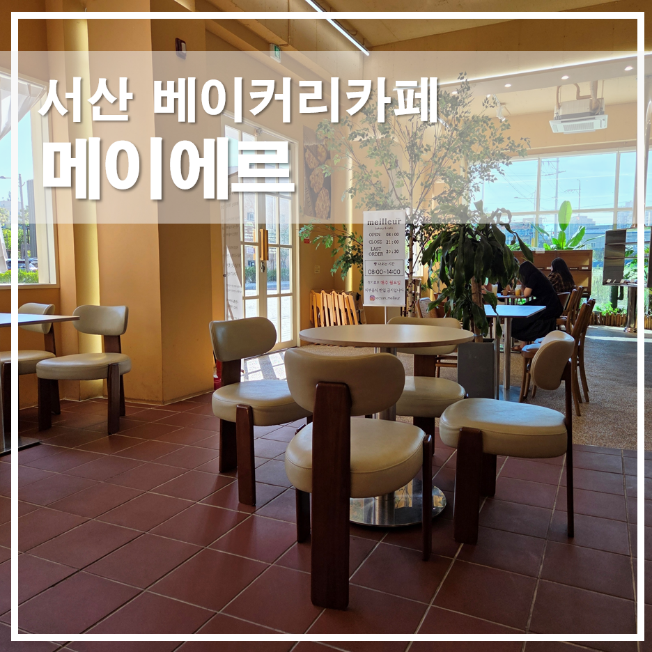 메이에르 사진 1
