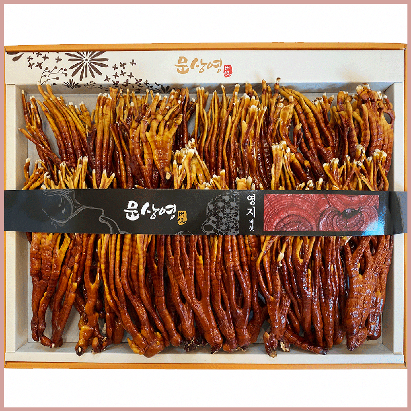 무농약 녹각영지버섯 500g 써보고 느낀 효능과 보관 꿀팁 알려드려요