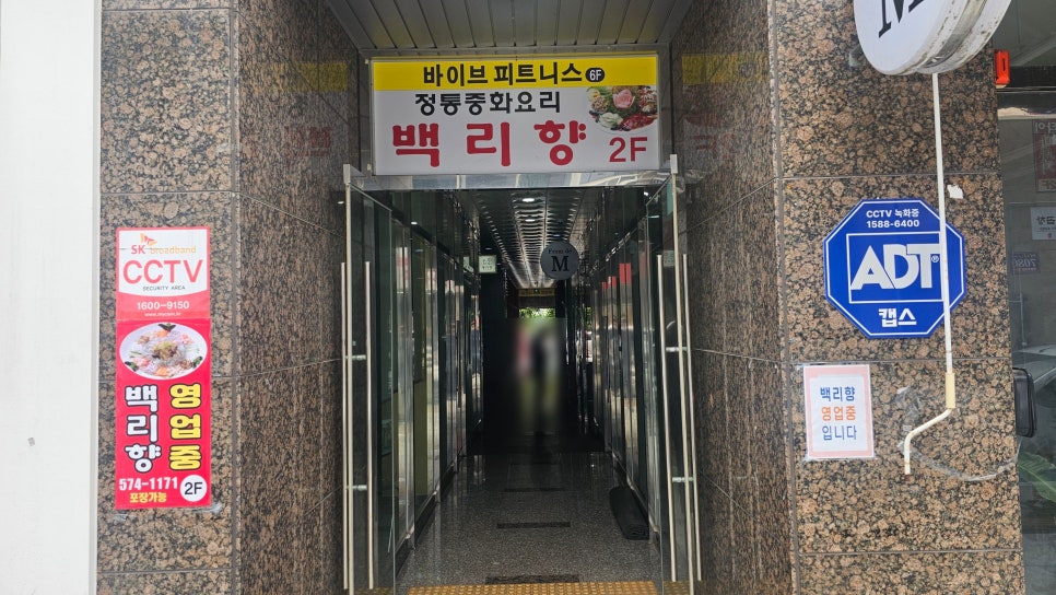 백리향 사진 3