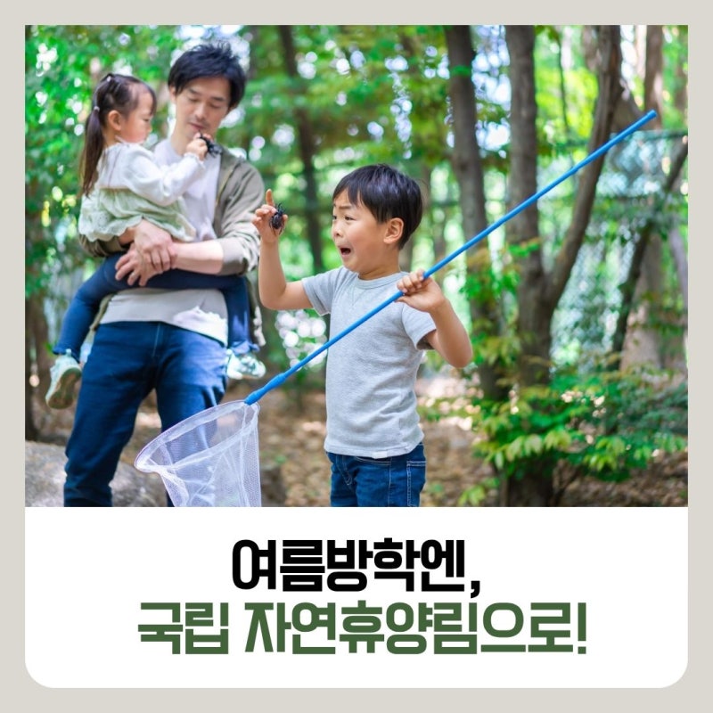 국립자연휴양림, 여름방학 백배 즐기기 !
