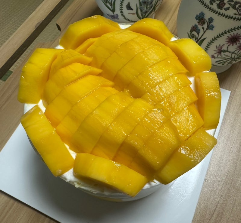 [발산역 케이크 맛집] 과일맛집 1995 발산본점, 망고케이크 추천_내돈내산 26년 7월