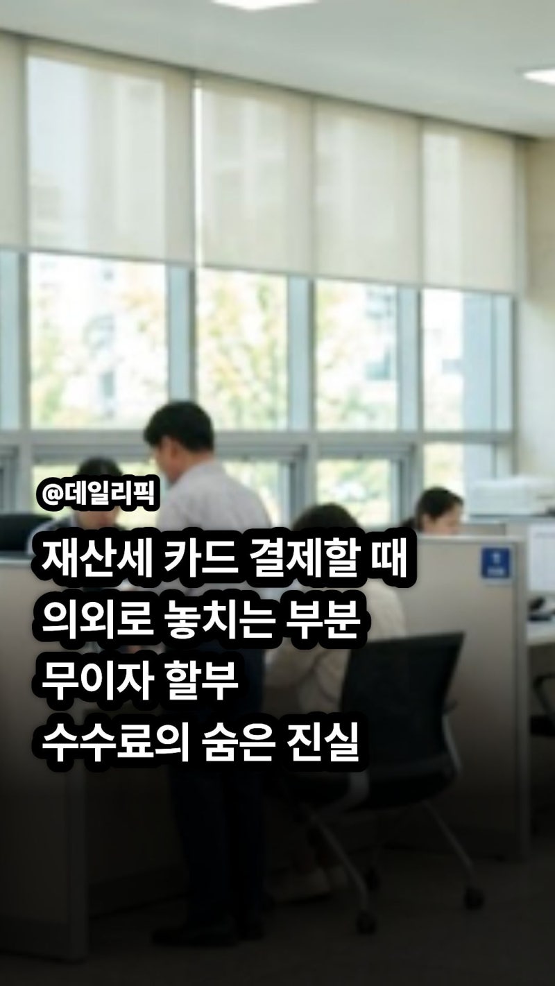 2026 재산세 카드혜택 비교 삼성 국민 신한 현대 무이자할부 캐시백 총정리