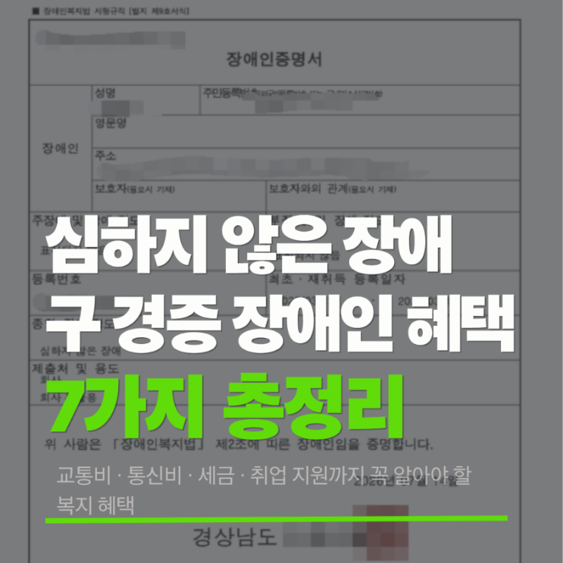 경증 장애인 등록 혜택 7가지 총정리, 심하지 않은 장애도 받을 수 있는 복지 혜택