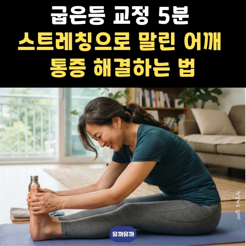굽은등 교정 5분 스트레칭으로 말린 어깨 통증 해결하는 법
