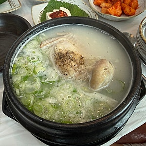 진주 금산 맛집 개성삼계탕 청곡사 근처 초복 보양식 몸보신 제대로 한 삼계탕 후기  중복 말....