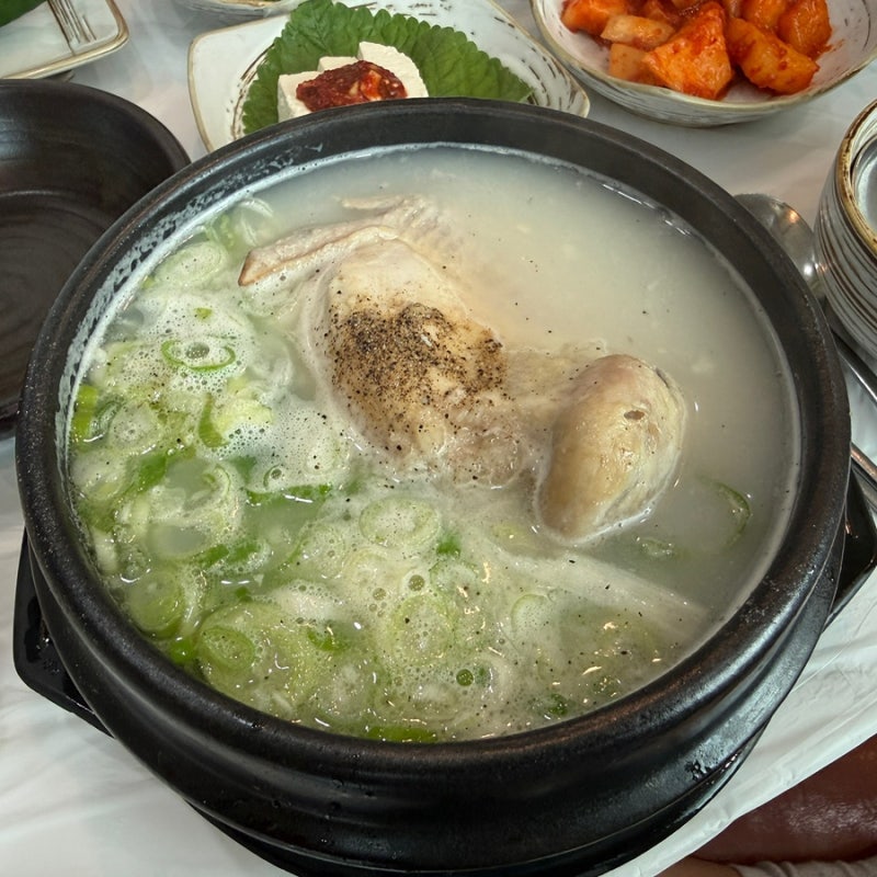진주 금산 맛집 개성삼계탕 청곡사 근처 초복 보양식 몸보신 제대로 한 삼계탕 후기 중복 말....