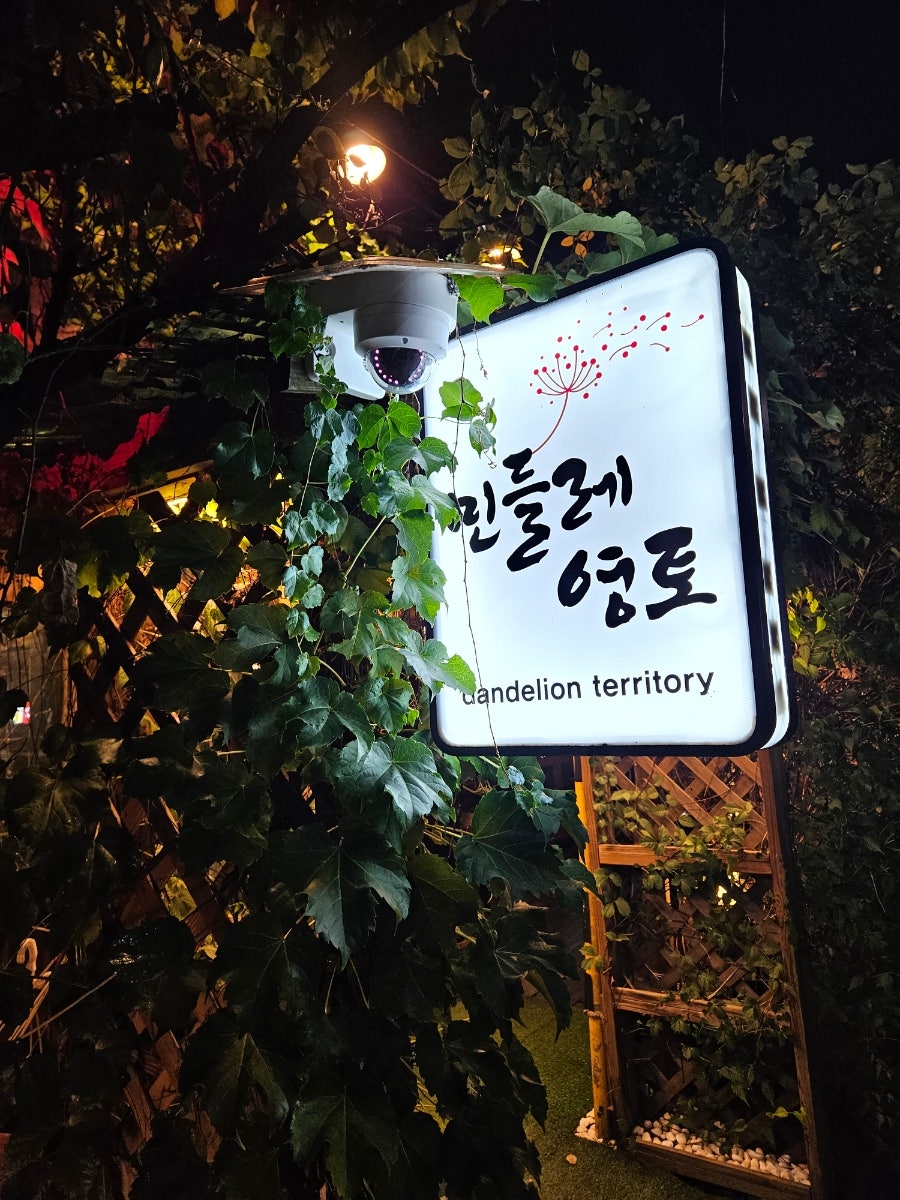 민들레 사진 2