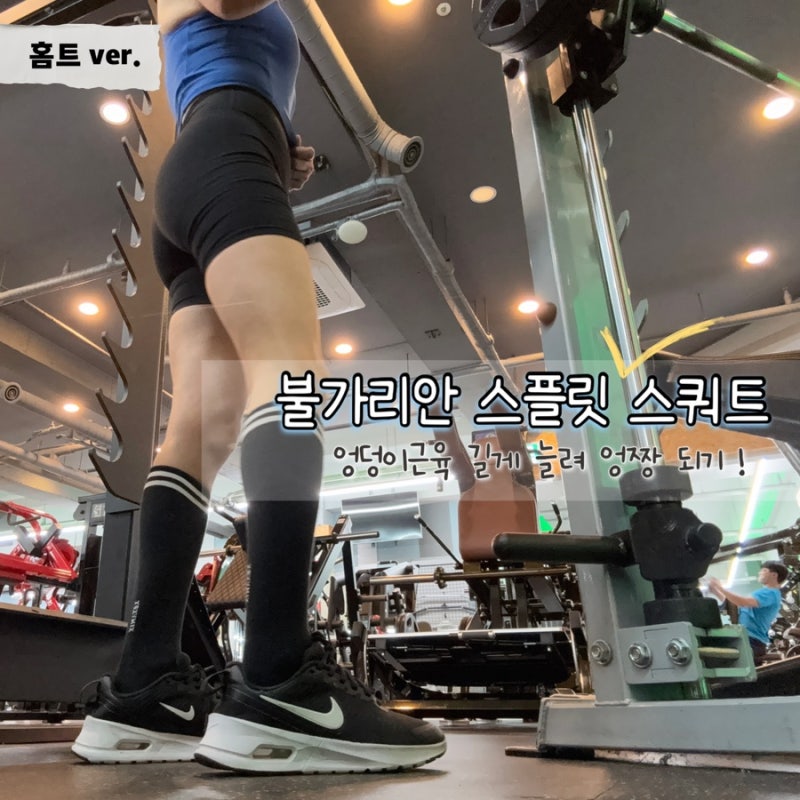 " 무릎 통증 없이 홈트로" 불가리안 스플릿 스쿼트 힙 운동 자세