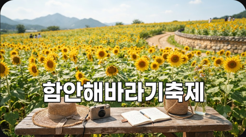 함안 강주해바라기축제 2026 종료 시점 정보 정리