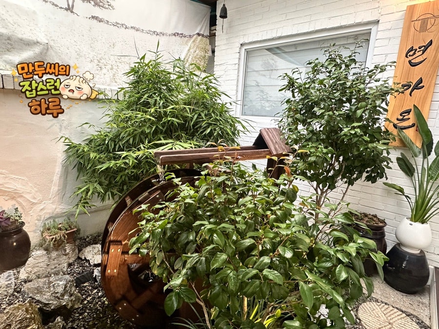 면가온 사진 3