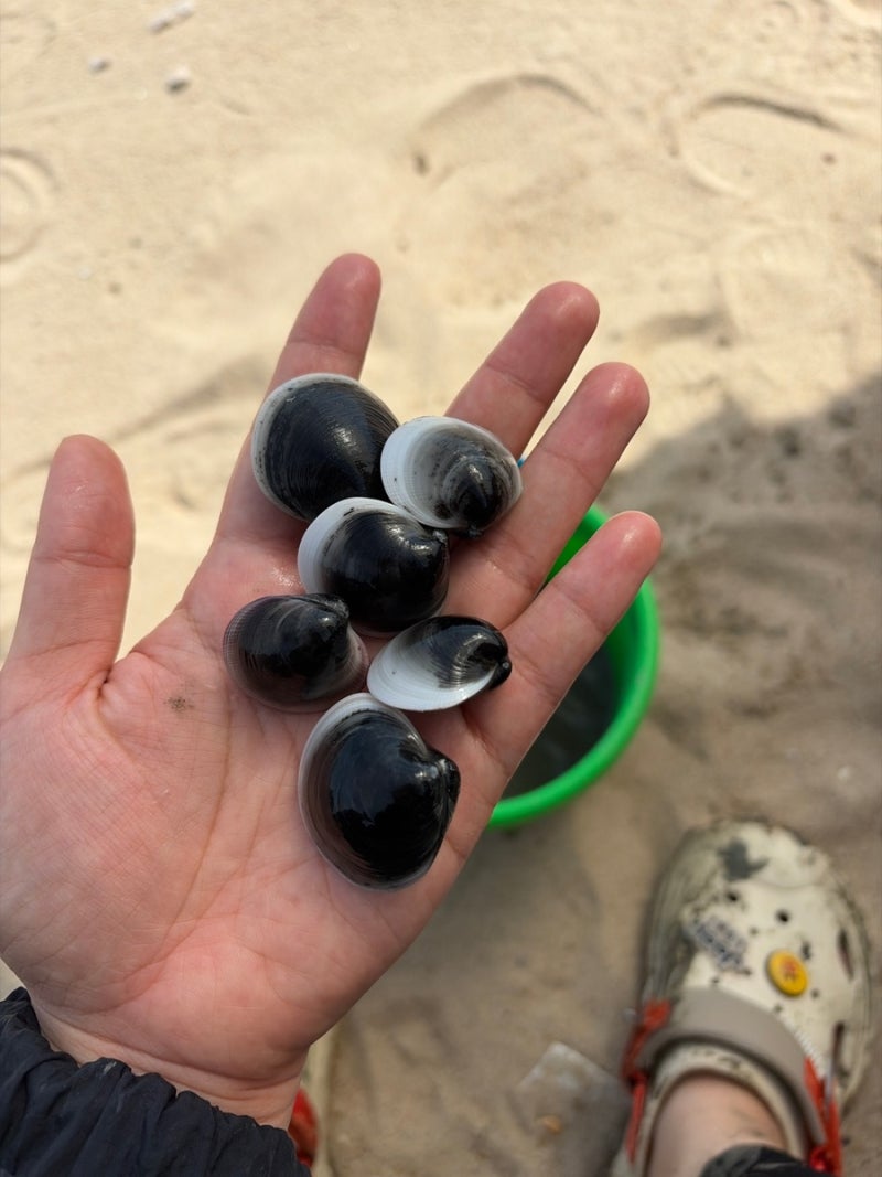 江華島席毛島Minmeoru海水浴場 / 潮間帶體驗場，首爾近郊海邊採集利用費、雨鞋租借、潮汐時間等