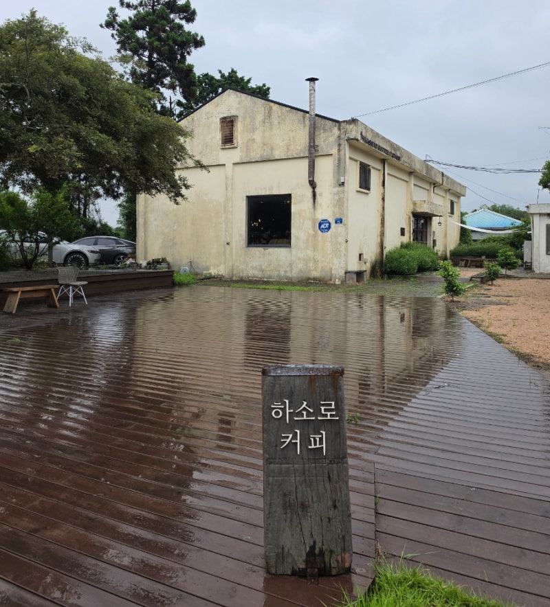 제주 서쪽 한경면 본격 로스터리 카페! 스페셜티 원두 커피 맛집 / 하소로커피